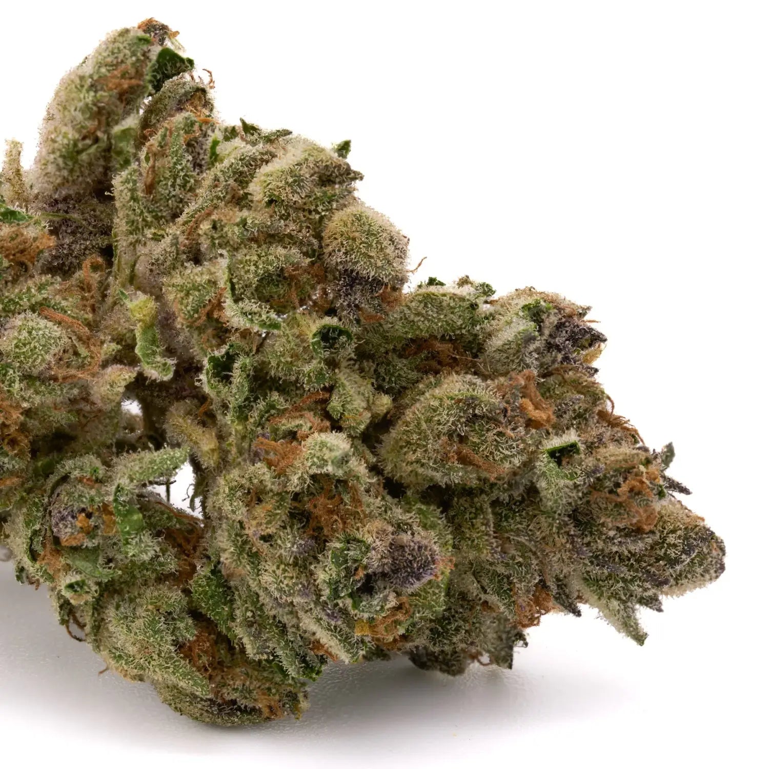 Inferno THCa Greenhouse vs Lucky Charms THCa Full-Term: 