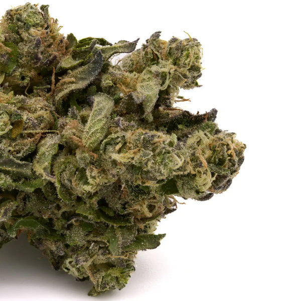 Greenhouse Grown THCa Hemp Flower Review