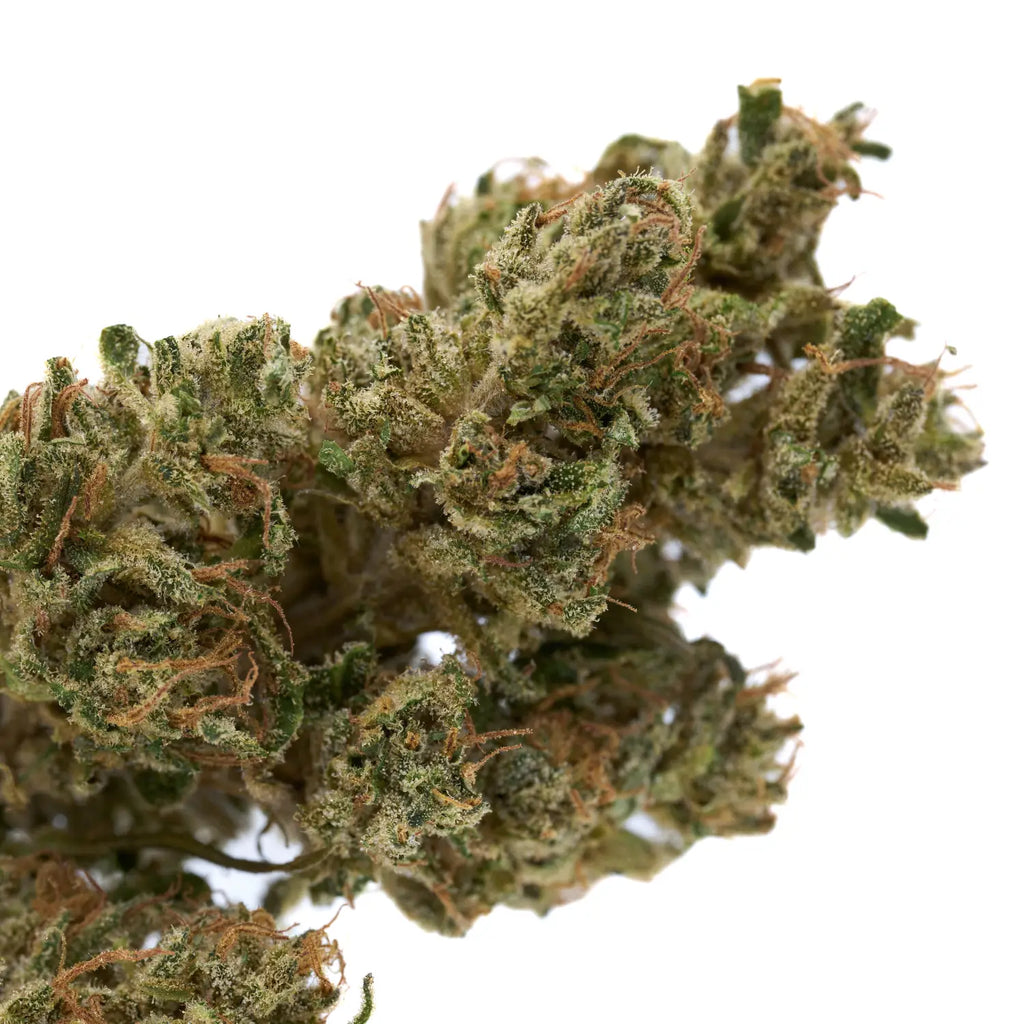 THCA Flower Colors Explained
