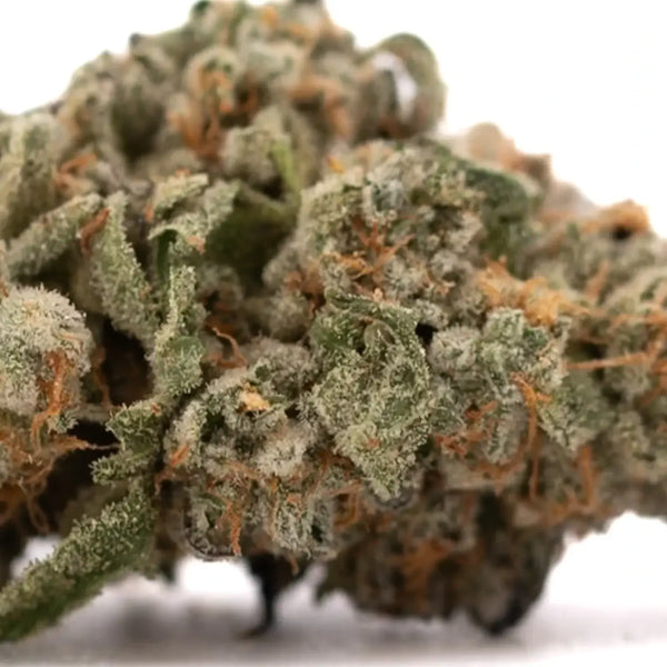 Event Horizon vs Tropical Paradise THCa Flower: