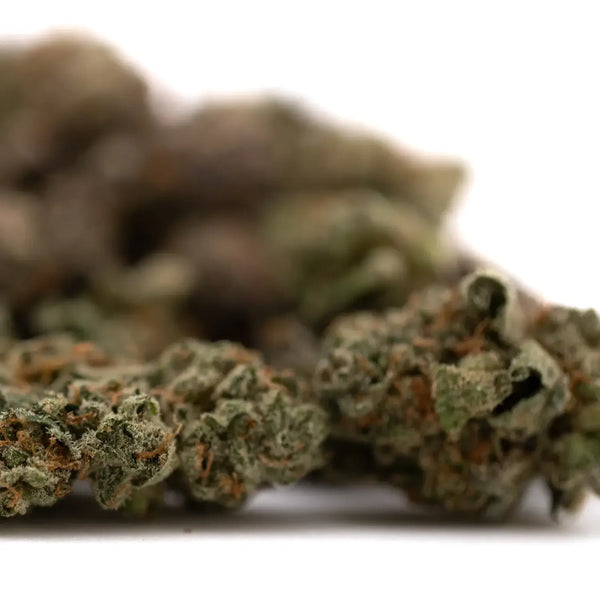 Dark THCA Buds vs Light