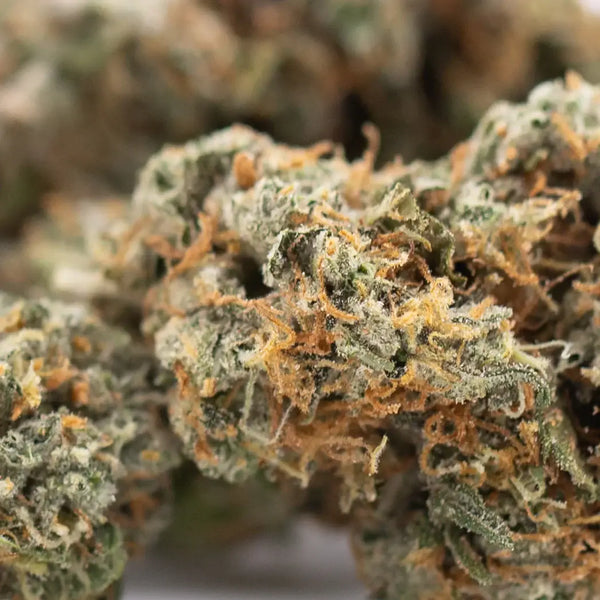 Best Greenhouse THCa Flower