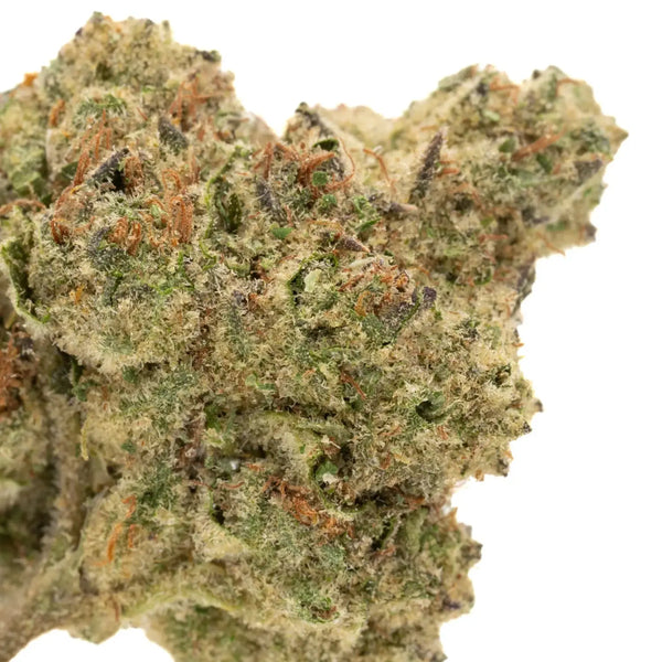 GMO vs Strawberry Diesel THCa Flower