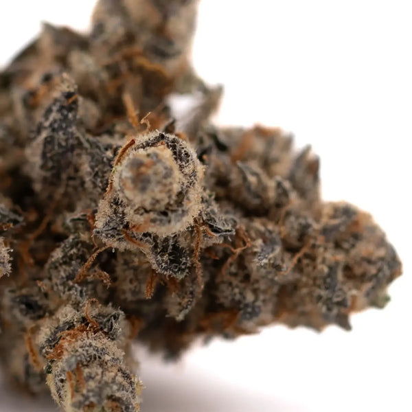 Street Tarts vs Giggle Gas THCa Flower