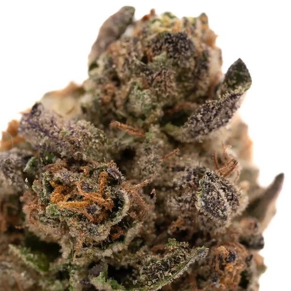 Daytime vs Nighttime THCa Strains
