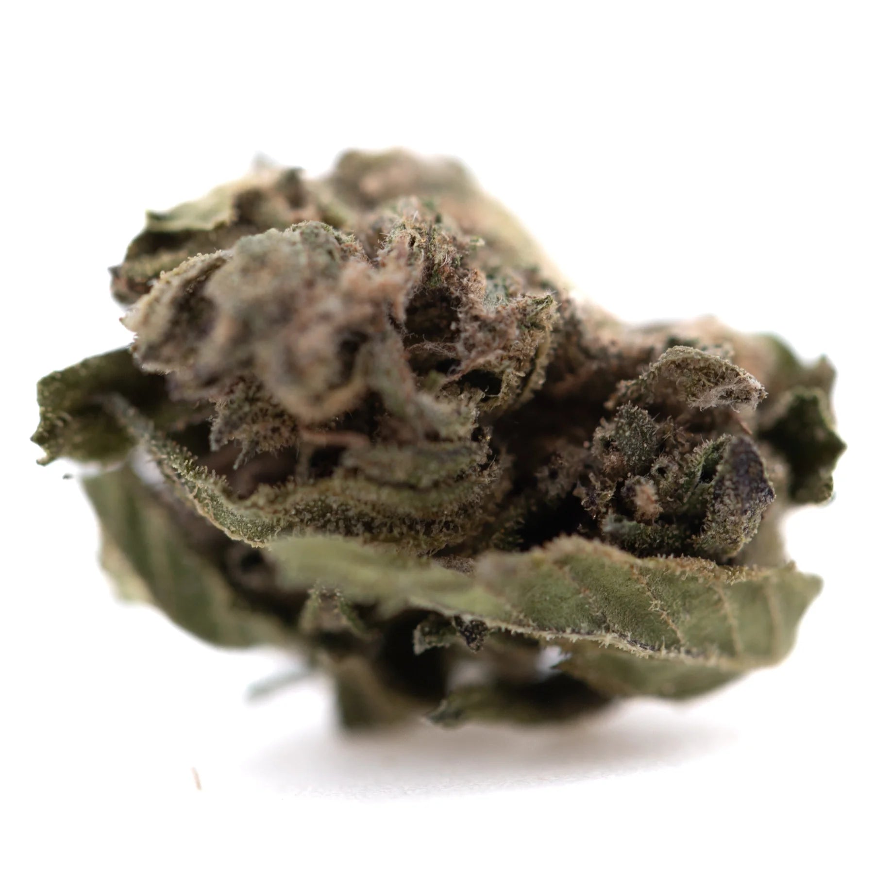 Dense textured dirty laundry full-term thca flower with green brown hues and fine trichomes from indoor cultivation terpene profile