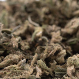 A pile of dried greenish-brown dirty laundry full-term thca trim buds with a frosty surface and rich terpene profile