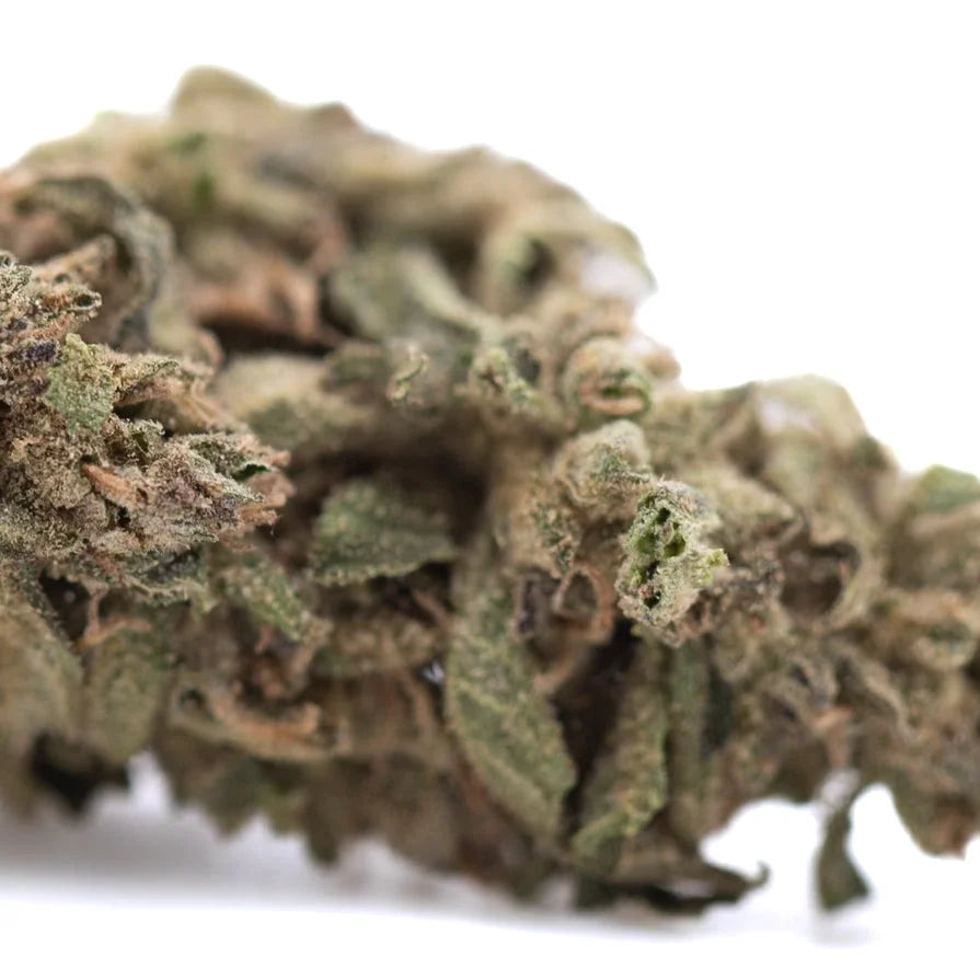 A dense textured dirty laundry full-term thca flower bud with green and brown hues covered in trichomes for a body high