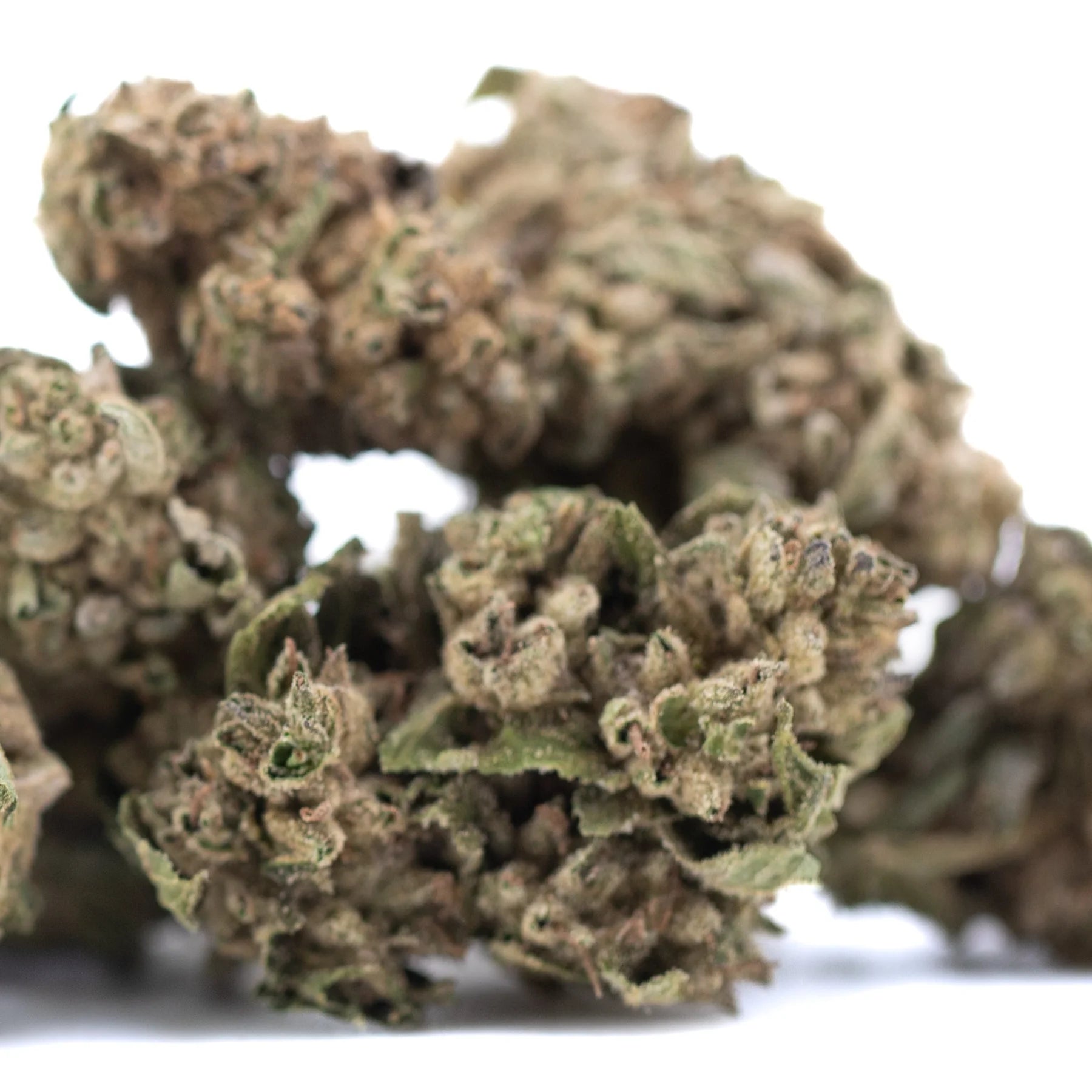Dried dirty laundry full-term thca flower with dense green and brown buds for a relaxing body high and gmo soda effect