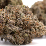 Dough Boy THCa hemp flower bud with dense trichomes