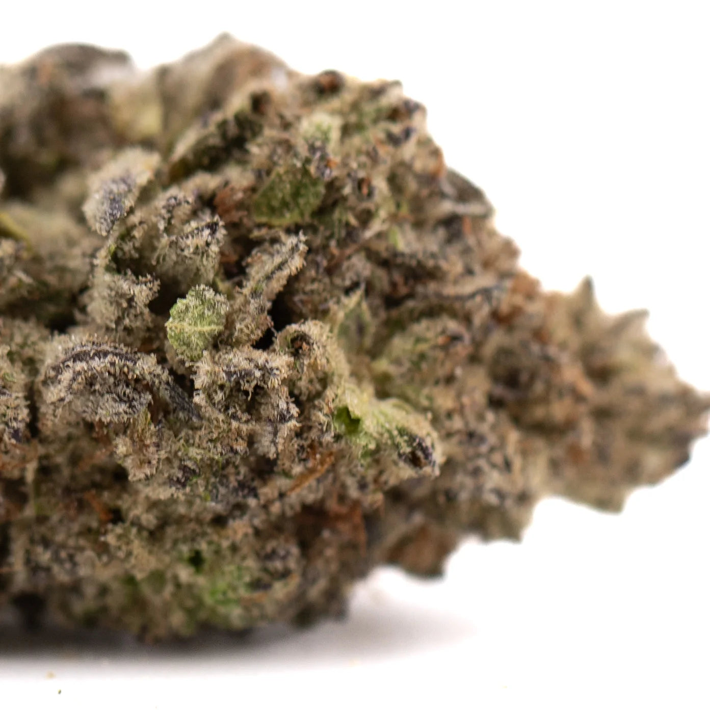 Dough Boy Kush Breath THCa hemp flower bud with green purple hues and trichomes