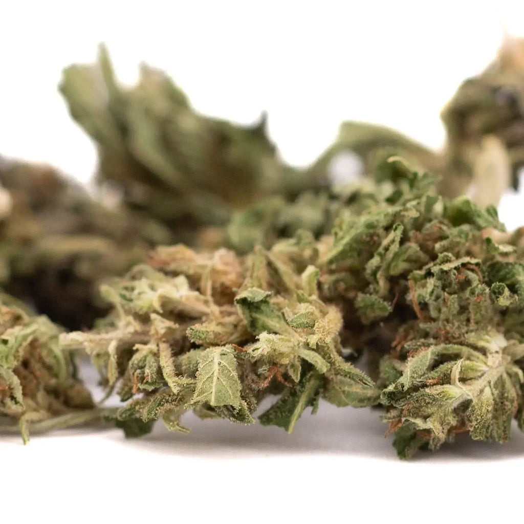 Is CBD Legal in All 50 States in 2026?