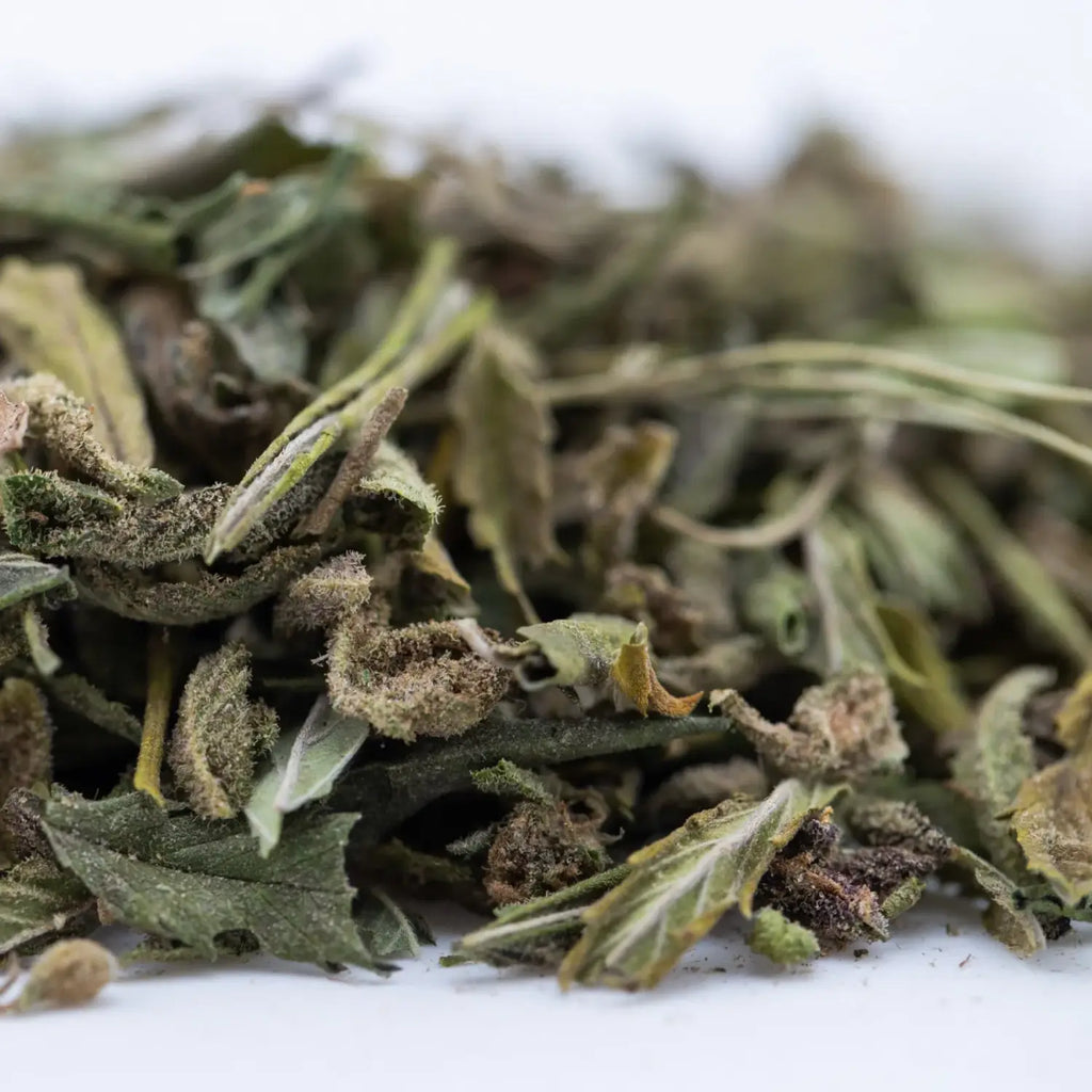 How Growers Harvest and Process THCA Trim