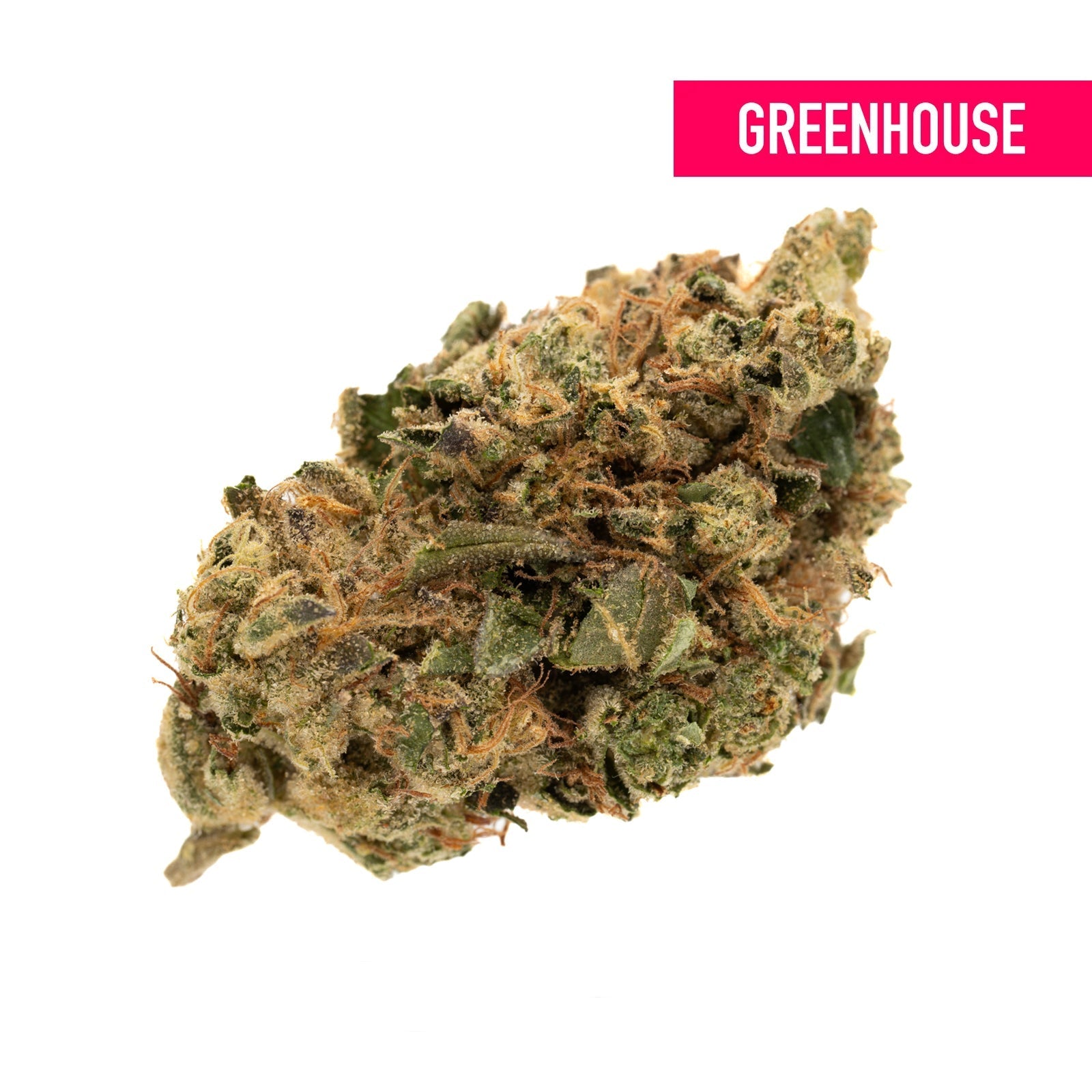 Duct Tape THCa Hemp Flower Greenhouse - Plants