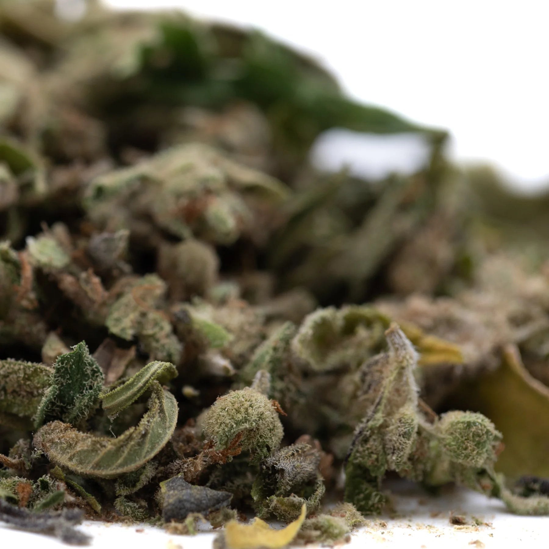 A pile of durban poison pure sativa thca trim with frosty trichomes and green leaves in full-term wholesale packaging