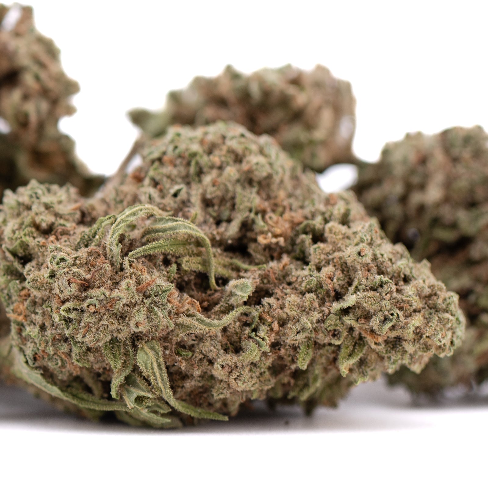 Premium Durban Poison THCa Flower bud close-up