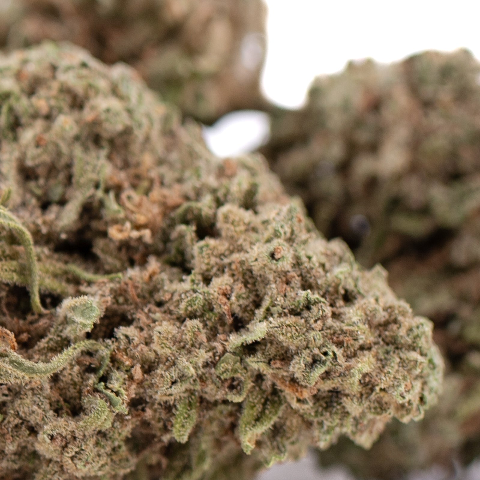 Premium Durban Poison THCa Flower bud with dense trichomes