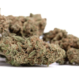 Premium Durban Poison THCa flower bud with dense trichomes