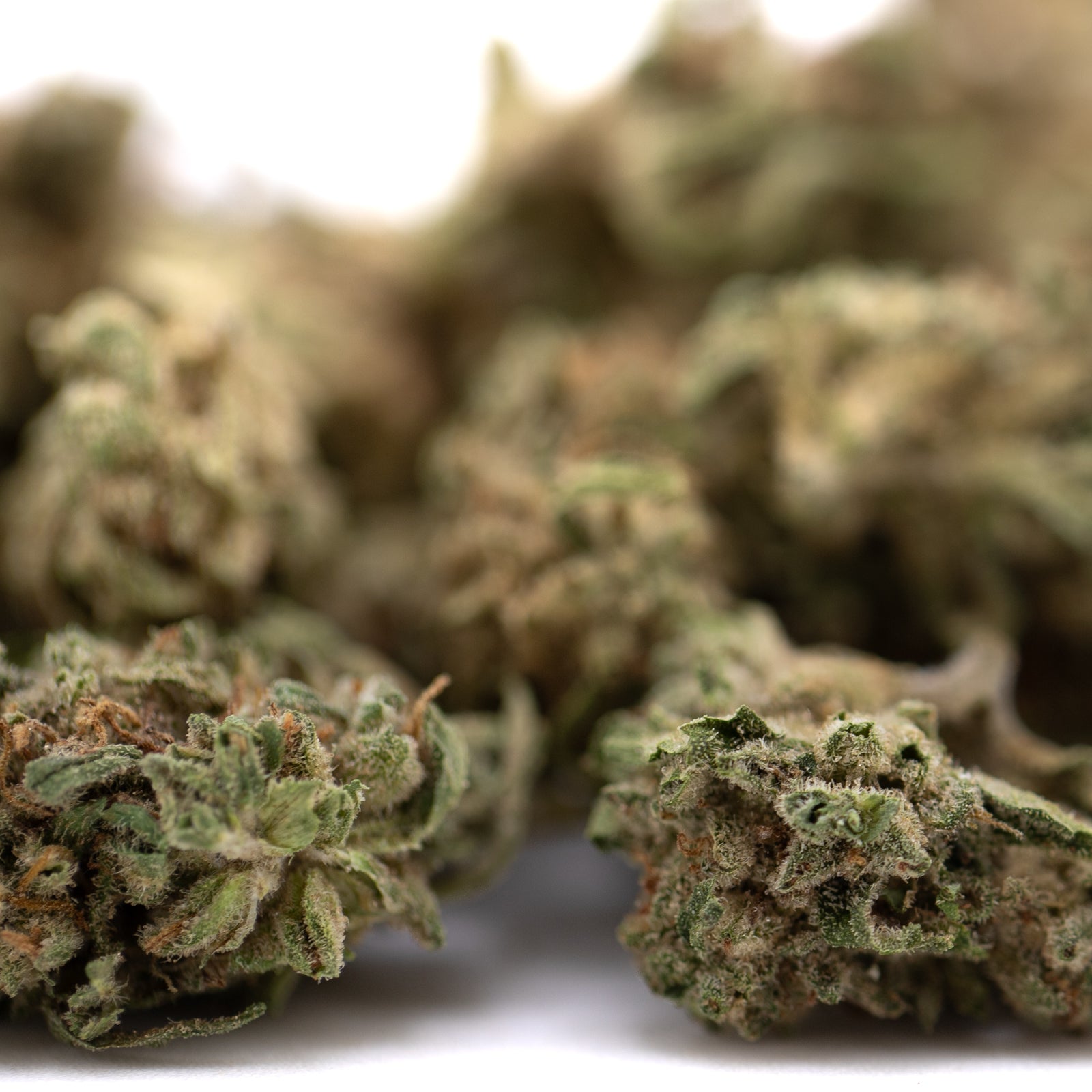 Durban Poison THCa Flower Smalls with green brown bud and resin glands