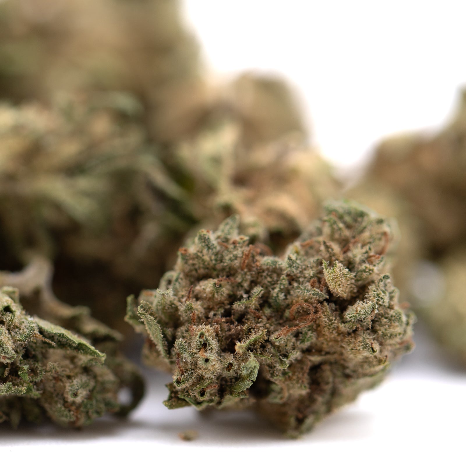 Premium Durban Poison THCa Flower Smalls with green buds and purple hues