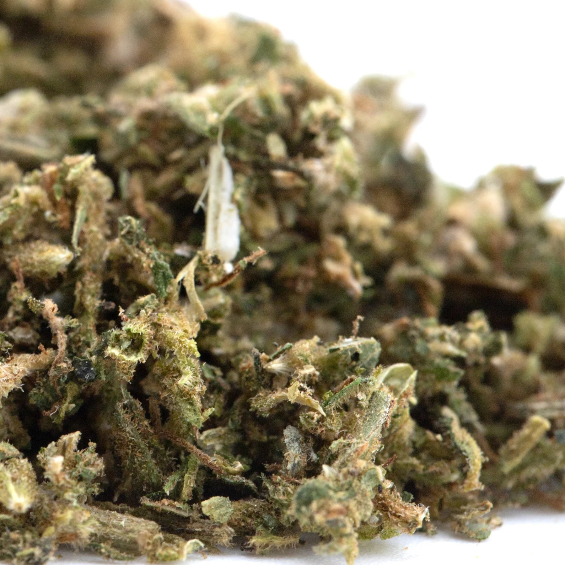Dense early blossom full-term cbd trim hemp flower bud with green and amber hues covered in fine trichomes