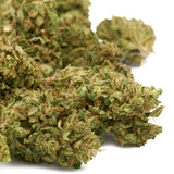 Dried Early Cherry CBD Hemp Flower Full-Term buds for premium hemp flower products