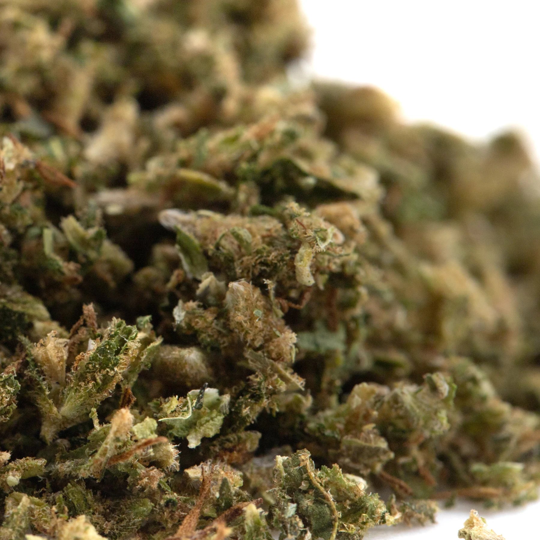 Dense green early cherry full-term hemp flower bud with textured trichomes and subtle brown hues containing minor cannabinoids