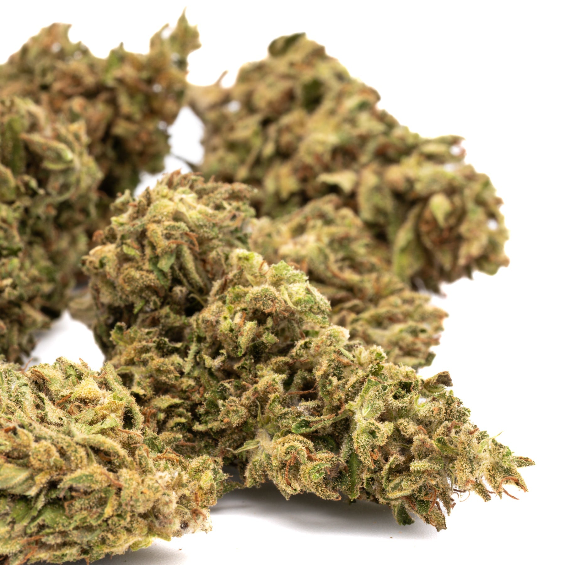 Dried CBD hemp flower with light green and orange hues, covered in trichomes, from Early Nueve’s Cheesy Kush