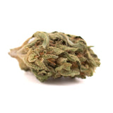 Early nueve full-term smalls dense green hemp flower bud with fine trichomes and amber hints for cbd use