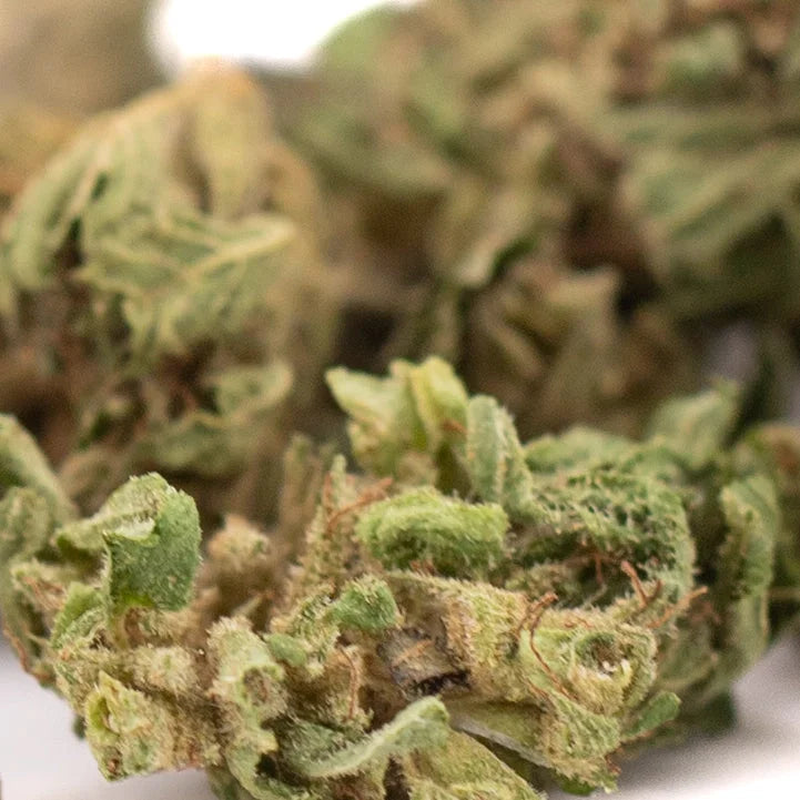 Early nueve cbd hemp flower full-term smalls dense green bud covered in fine trichomes with amber hints