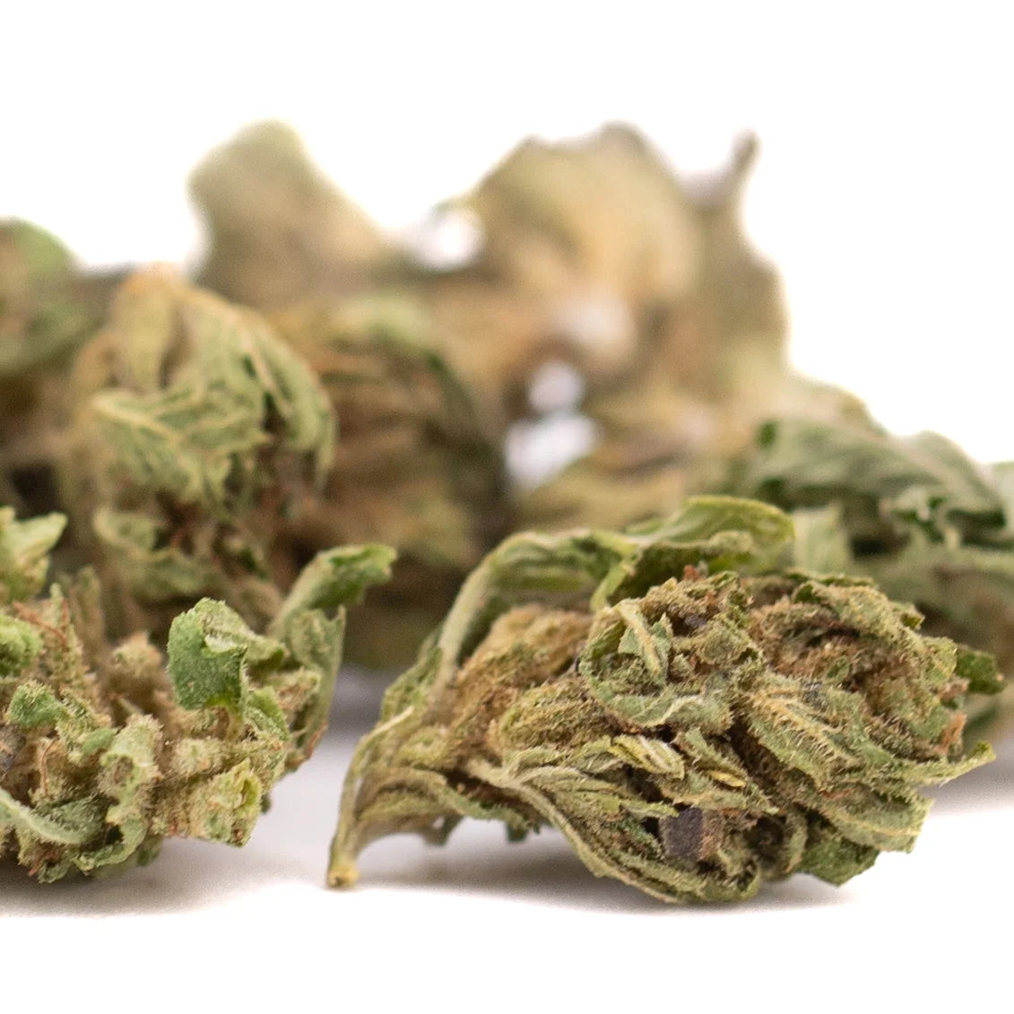 Dried early nueve cbd hemp flower full-term smalls with dense trichomes and green brown leafy textures