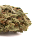 Early nueve cbd hemp flower full-term smalls dense green cbd smalls flower with trichomes and brown pistils