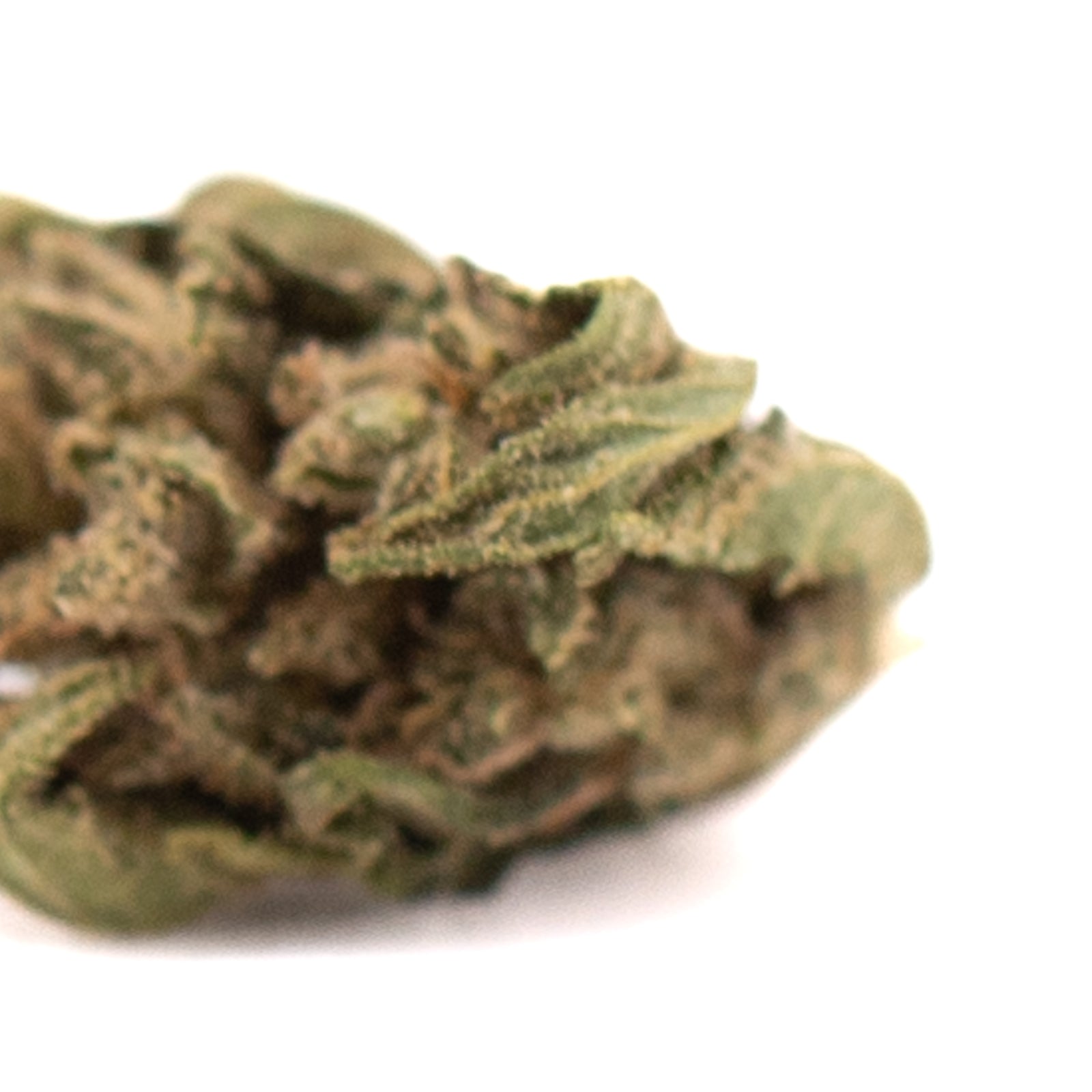 Early Remedy CBD Hemp Flower Smalls