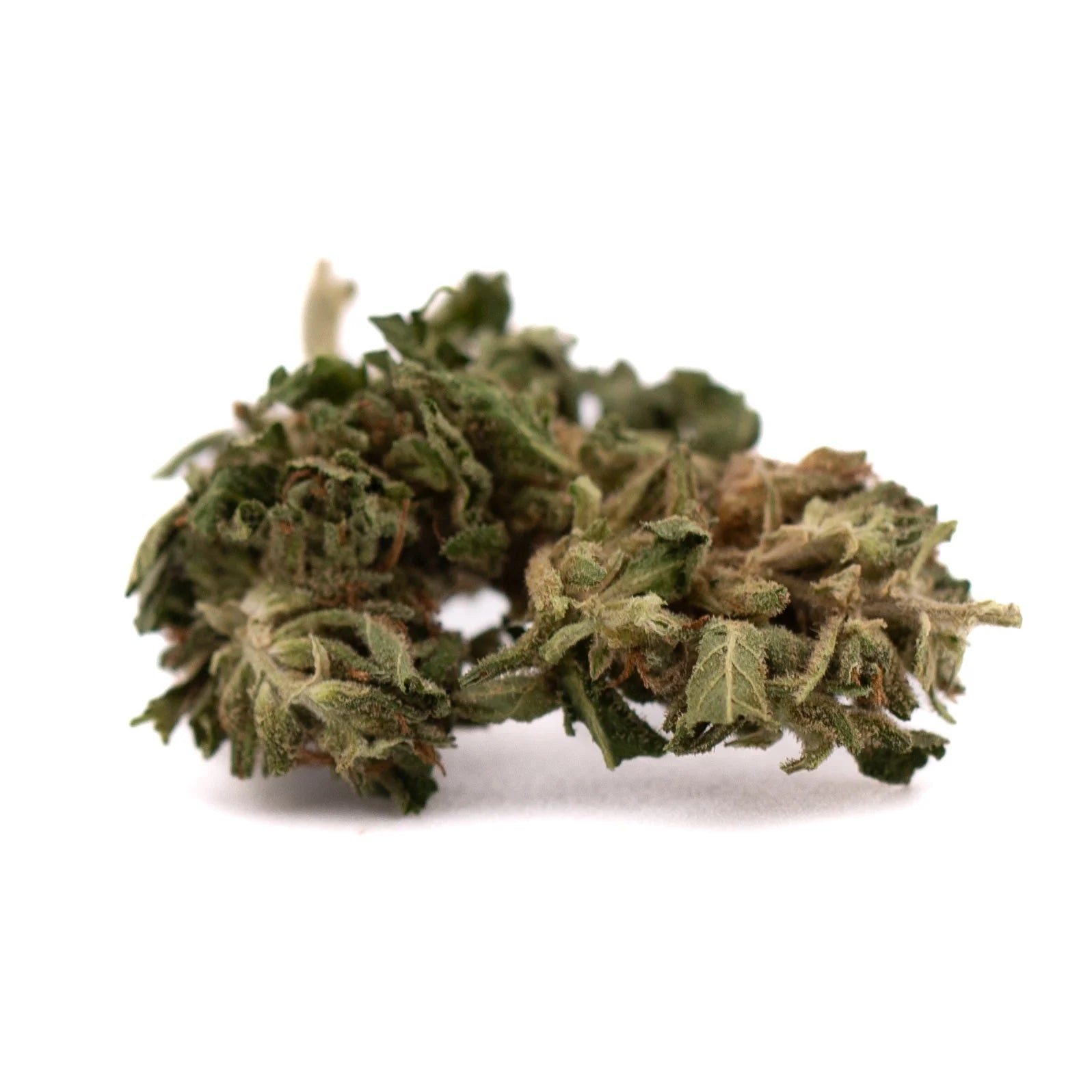 Early trump cbd hemp flower full-term smalls dense green bud with textured surface and visible trichomes