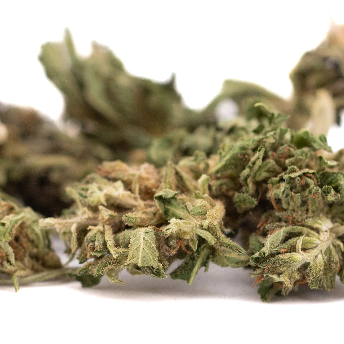 Dried greenish early trump cbd hemp flower full-term smalls buds with dense trichomes in hemp flower full-term form