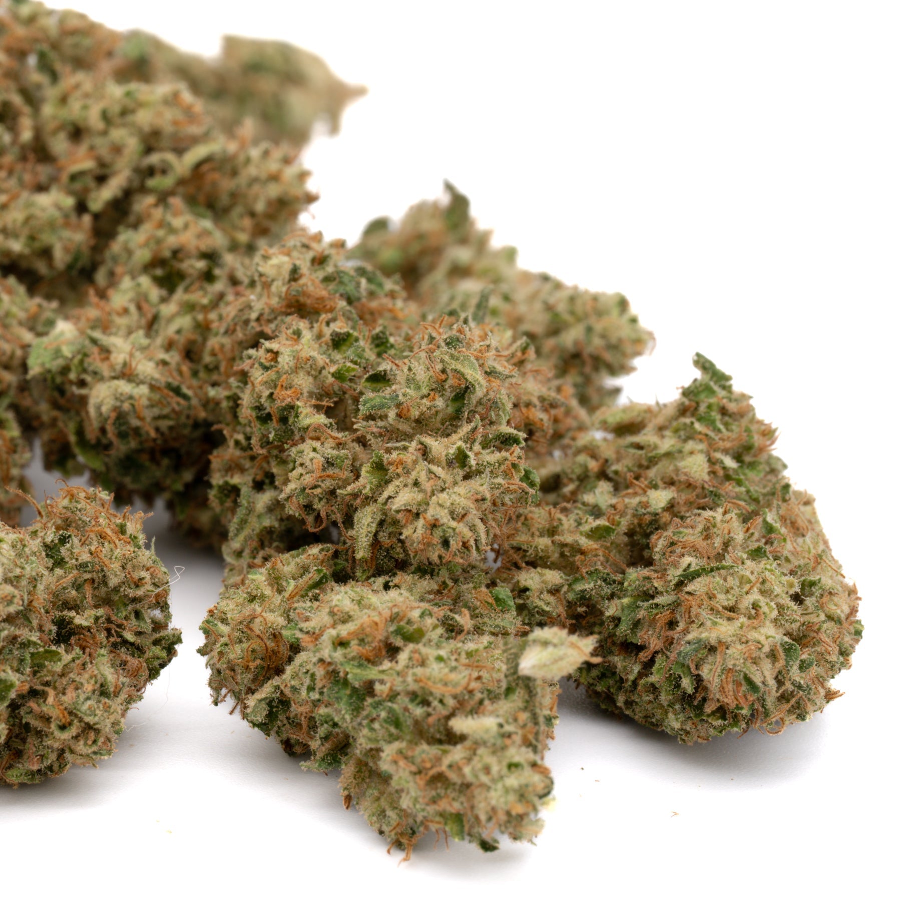 Dried CBD hemp flower with green, orange, and white hues from Early Wu Sour Diesel strain