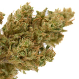 Dried CBD Hemp Flower Sour Diesel with visible trichomes and orange pistils