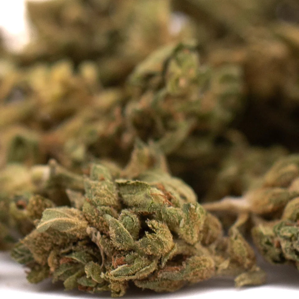A dense green early wu cbd flower smalls full-term hemp bud with amber and brown trichomes