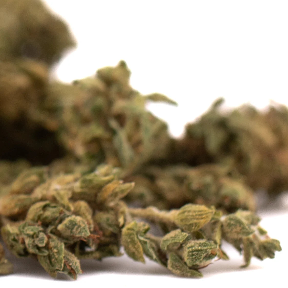 A dense green early wu cbd flower smalls full-term sour diesel hemp bud with textured surface and visible trichomes