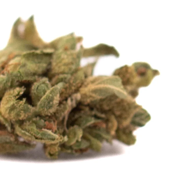 A dense green early wu cbd hemp flower smalls full-term bud with textured surface and orange pistils