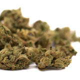 Dried early wu cbd hemp flower smalls with green and amber hues covered in fine trichomes full-term quality
