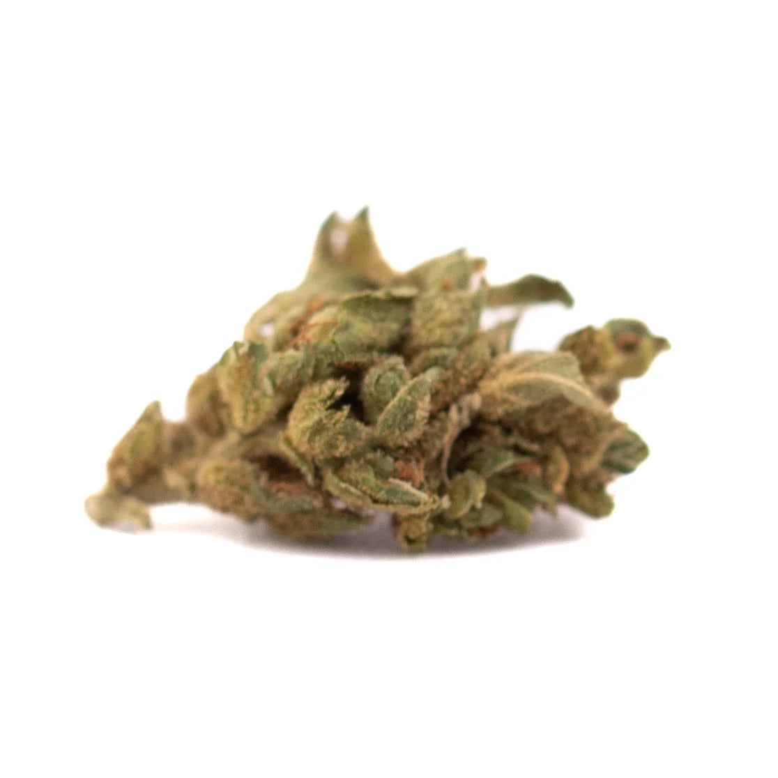 A dense green early wu cbd hemp flower bud with amber and brown trichomes showcasing cannabinoid potency