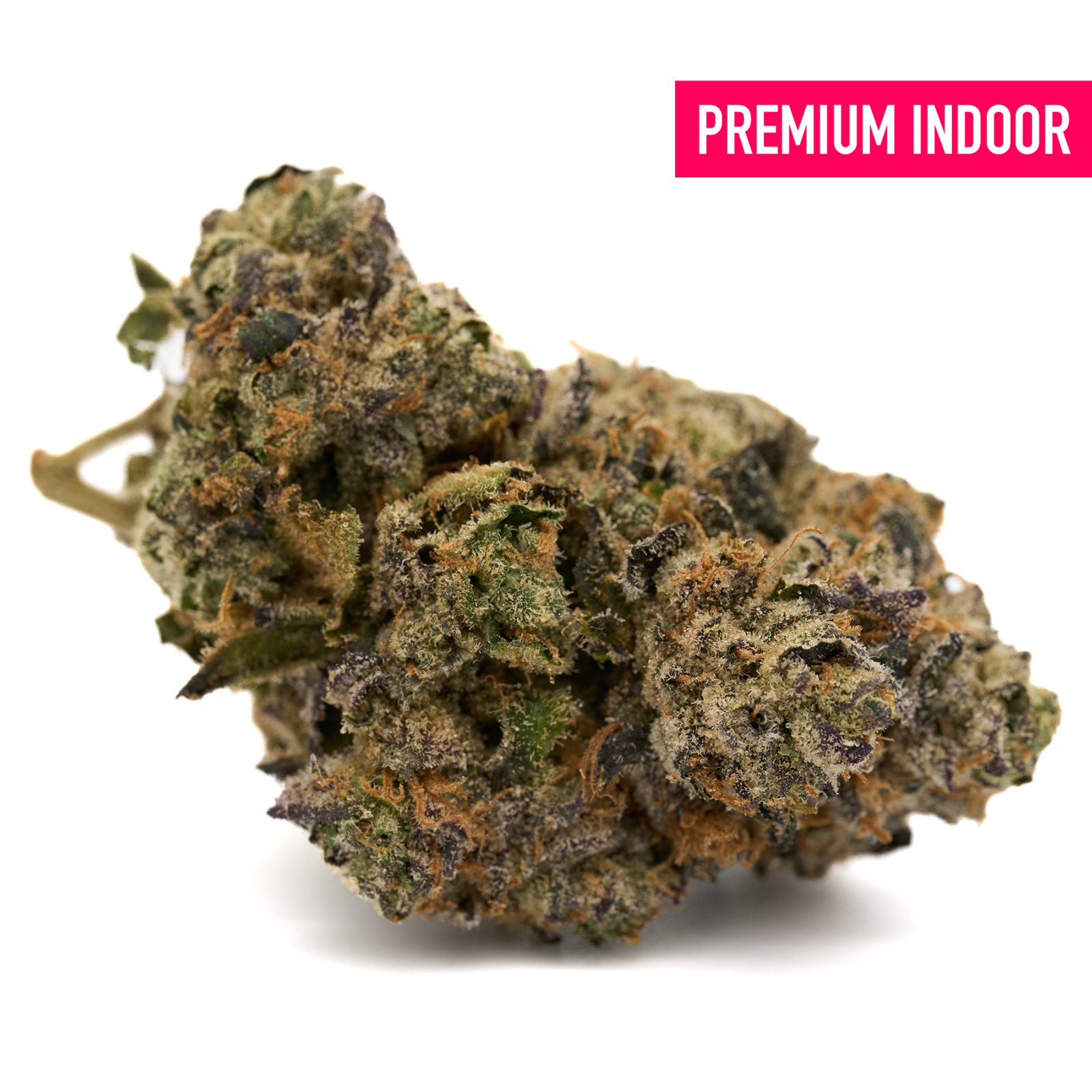 Frosty cannabis bud with purple and orange hairs from Edible Panties Burmese Kush Florida Kush