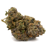 Dense trichome-rich Cannabis Bud with Purple and Orange Hairs Edible Panties Indoor THCa Flower