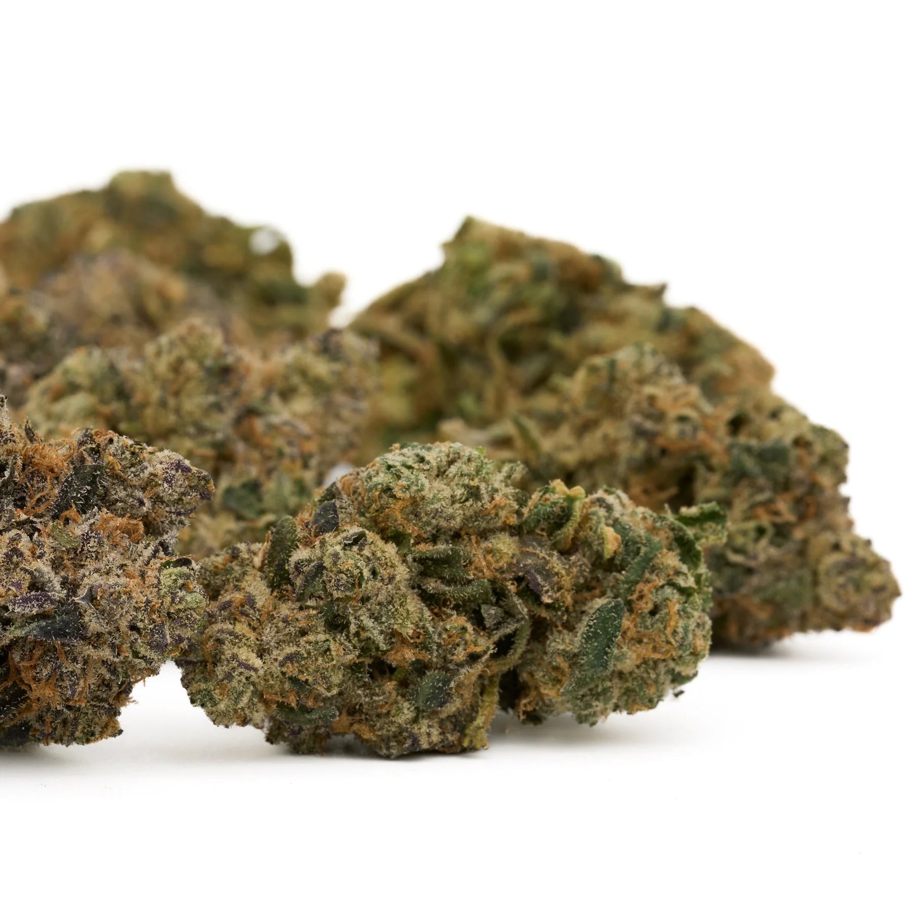 Dried cannabis flower buds from Edible Panties Indoor THCa Flower featuring Burmese Kush Florida Kush