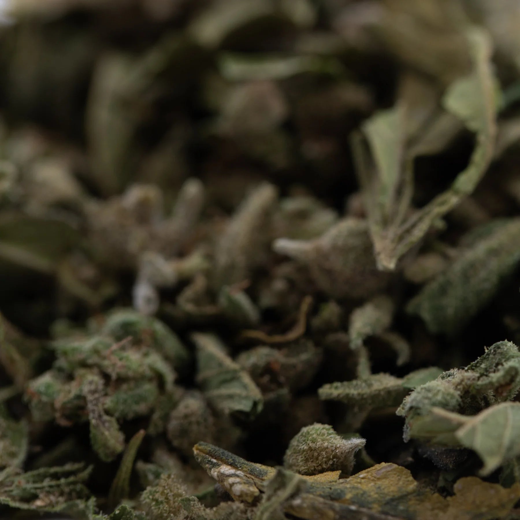Dried sage leaves with textured muted green and gray hues in emerald fires premium full-term thca trim wholesale product