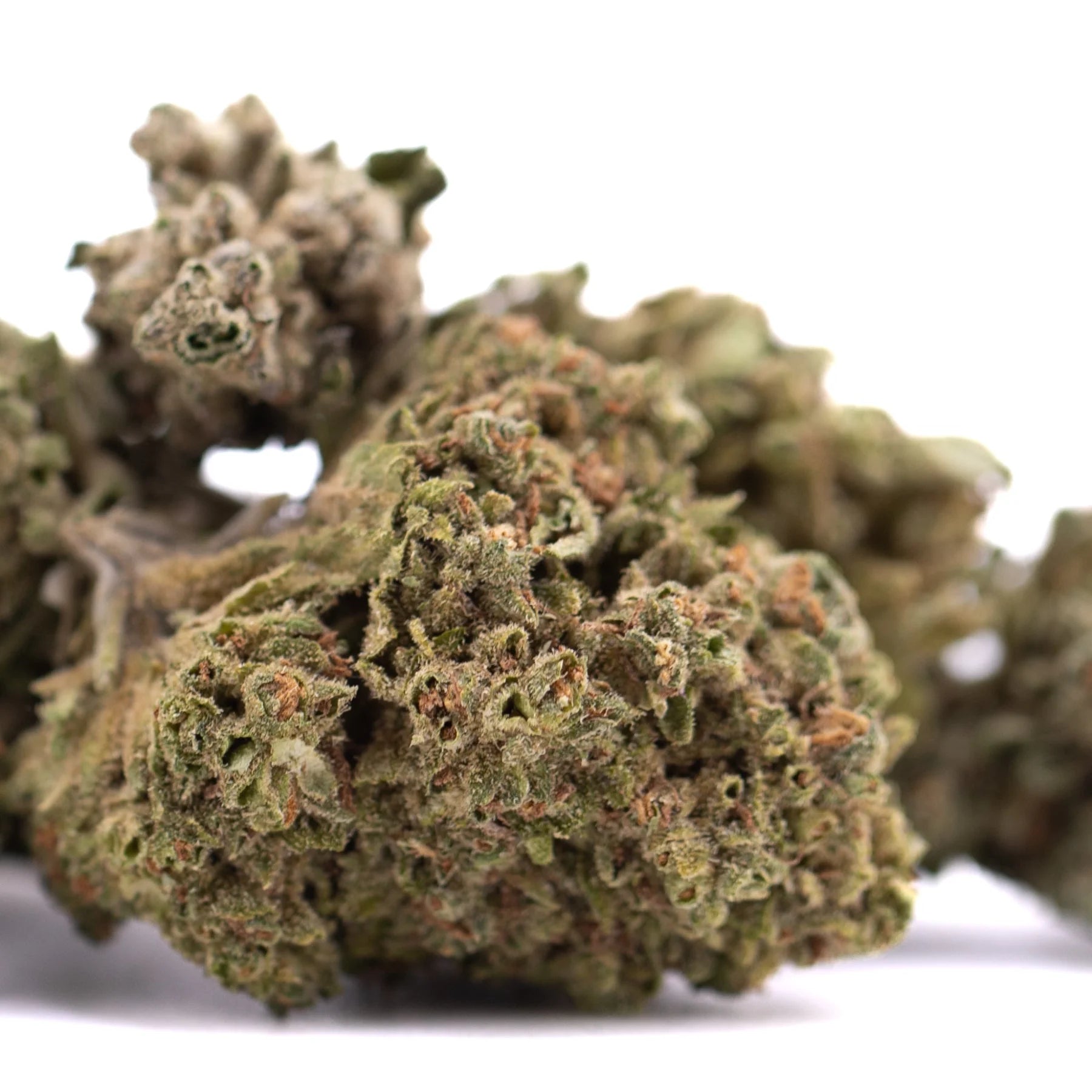 A dense green and brown emerald fire thca flower bud with sour lemon-lime notes for social enhancement use