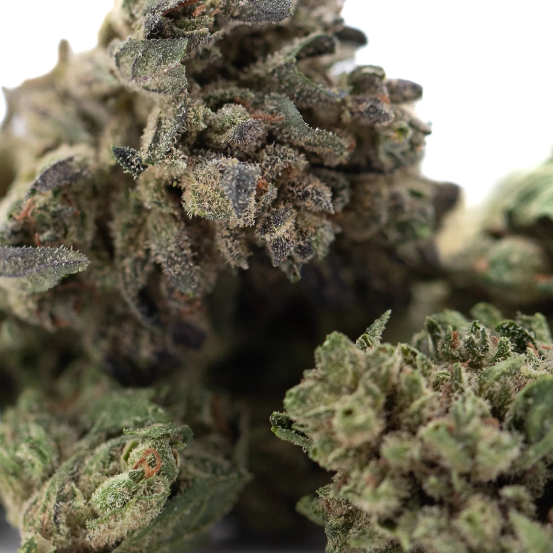 Emerald fire’s thca flower smalls full-term dense frosty bud with green and dark purple hues covered in fine trichomes