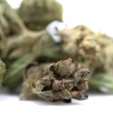 Emerald fire’s full-term thca flower smalls dense green bud with fine trichomes and orange pistils textured surface