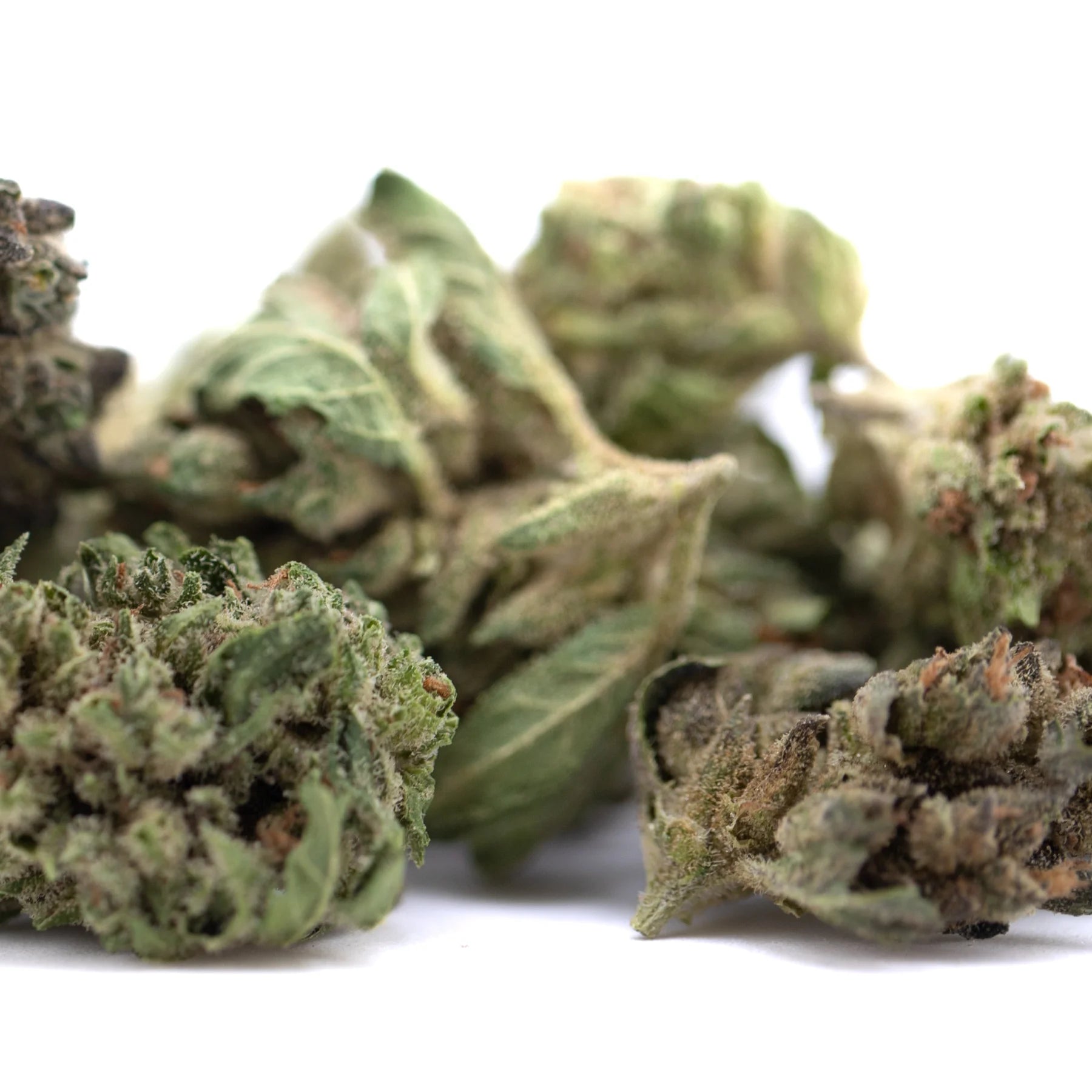 Dried emerald fire’s full-term thca flower smalls with green and brown hues covered in fine trichomes